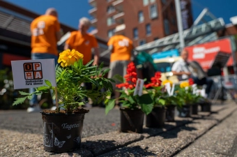 Bezuiniging bloemen in de binnenstad?