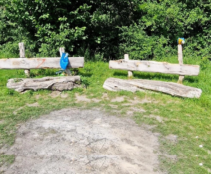Overlast Groene Voet, Daalmeer